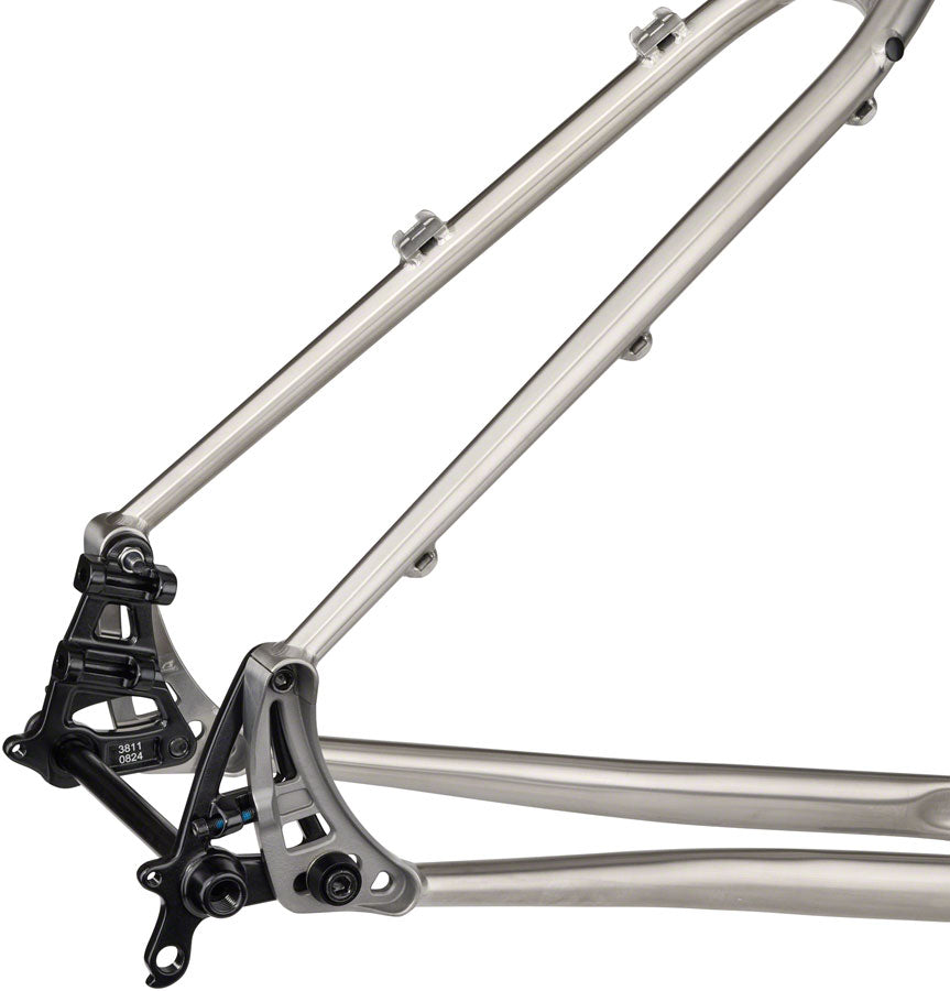 Salsa Fargo Ti Frameset - 29" Titanium Raw Medium