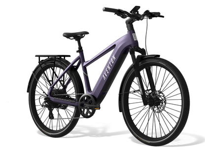 Level 3 Ebike