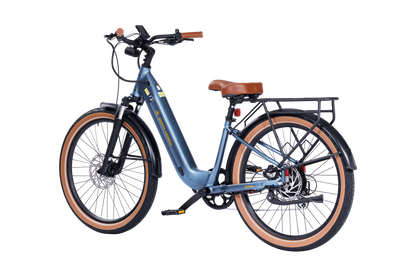 Santa Monica Ebike