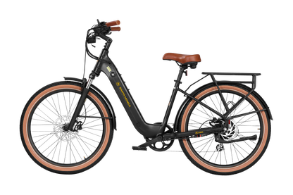 Santa Monica Ebike