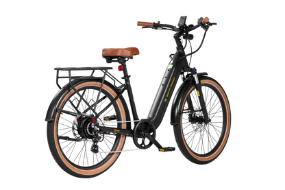Santa Monica Ebike