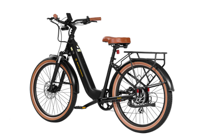Santa Monica Ebike