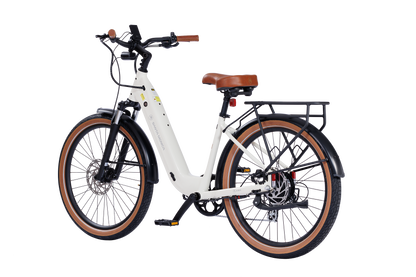 Santa Monica Ebike