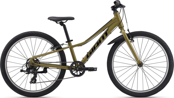 Giant


Talon 24 Lite