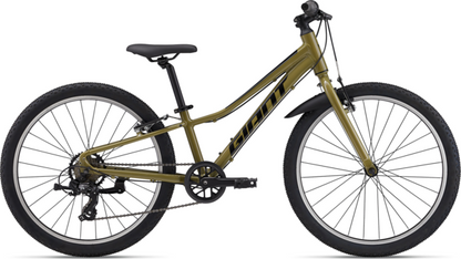 Giant


Talon 24 Lite