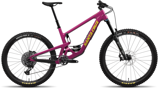 Santa Cruz


Bronson S